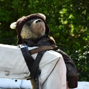 CM12 9981 Rally bear-2 CM12 9981 Rally bear-2