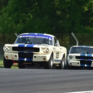 CM13 4900 Marcel van Laarhoven, Shelby Mustang Print CM13 4900 Marcel van Laarhoven, Shelby Mustang Print