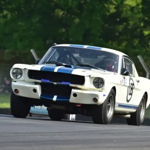CM13 4901 Paul Chase-Gardener, David Allen, Ford Shelby Mustang GT350 CM13 4901 Paul Chase-Gardener, David Allen, Ford Shelby Mustang GT350