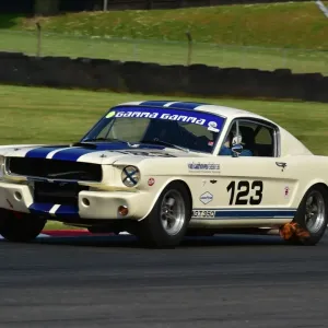 CM13 5100 Print: Marcel van Laarhoven's Shelby Mustang at Brands Hatch CM13 5100 Print: Marcel van Laarhoven's Shelby Mustang at Brands Hatch