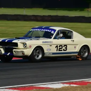 CM13 5115 Marcel van Laarhoven, Shelby Mustang CM13 5115 Marcel van Laarhoven, Shelby Mustang