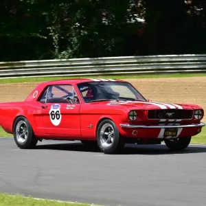 CM14 7233 Rob Fenn, Ford Mustang CM14 7233 Rob Fenn, Ford Mustang