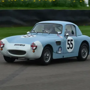 CM18 1463 Asher Smith-Robson, Austin Healey Sebring Sprite