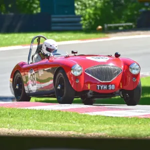 CM19 4460 Nick Matthews, Austin Healey 100-4 CM19 4460 Nick Matthews, Austin Healey 100-4