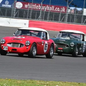 CM2_4148 Print: Austin Healey at HSCC Silverstone International 2014 CM2_4148 Print: Austin Healey at HSCC Silverstone International 2014