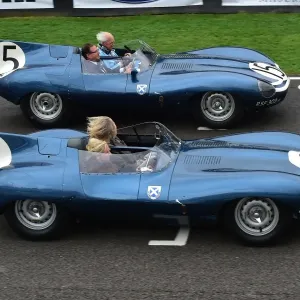 CM21 1794 Jaguar D-Type Long Nose Print