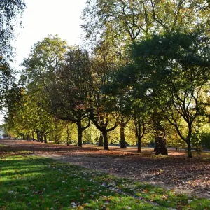 CM21 8092 Hyde Park, London CM21 8092 Hyde Park, London
