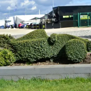 CM22 7846 Racing car topiary