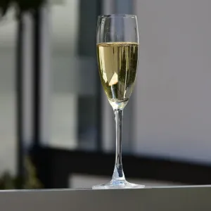 CM24 7769 Champagne CM24 7769 Champagne