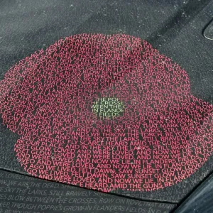Jaguar F-Type Poppy Car Print Jaguar F-Type Poppy Car Print