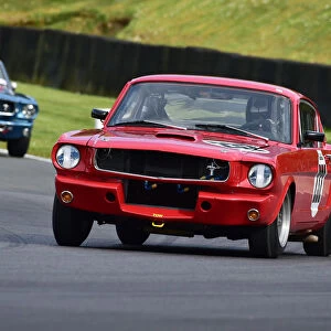 CM28 0119 Alasdair Coates, Ford Shelby Mustang GT350