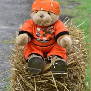 CM3 0919 Marshall Bear CM3 0919 Marshall Bear