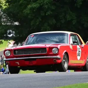 CM3 2385 Neil Brown, Ford Mustang, APO 271 C CM3 2385 Neil Brown, Ford Mustang, APO 271 C