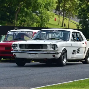 CM3 2397 Mark Watts, Ford Mustang CM3 2397 Mark Watts, Ford Mustang