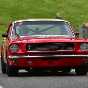 CM3 2496 Neil Brown, Ford Mustang, APO 271 C CM3 2496 Neil Brown, Ford Mustang, APO 271 C