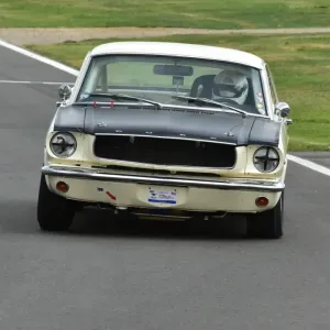 Ford Mustang Print Ford Mustang Print