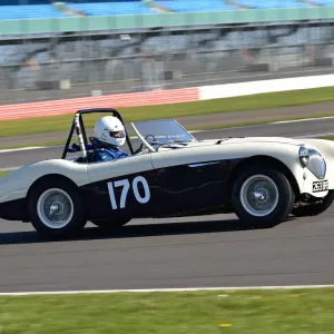 CM30 6336 Matthew Collings, Austin Healey 100M CM30 6336 Matthew Collings, Austin Healey 100M