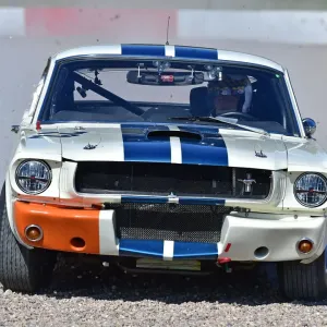 Ford Shelby Mustang Print Ford Shelby Mustang Print