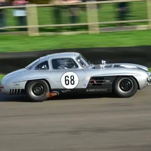 CM32 0666 Laura Kraihamer, Mercedes-Benz 300 SL, Gullwing CM32 0666 Laura Kraihamer, Mercedes-Benz 300 SL, Gullwing