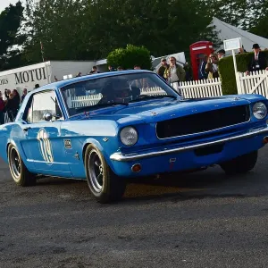 CM32 0943 David Gooding, Alex Brundle, Ford Mustang CM32 0943 David Gooding, Alex Brundle, Ford Mustang