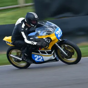 Yamaha Maxton 350 Print