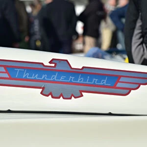 CM32 7485 Ford Thunderbird Battlebird