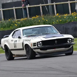 CM32 8253 Fred Shepherd, Ford Mustang Boss 302 CM32 8253 Fred Shepherd, Ford Mustang Boss 302