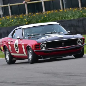 CM32 8254 Craig Davies, Ford Mustang Boss 302 CM32 8254 Craig Davies, Ford Mustang Boss 302