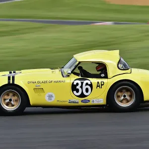 CM33 3711 Nick Sleep, Joel Wykeham, Shelby American Cobra CM33 3711 Nick Sleep, Joel Wykeham, Shelby American Cobra