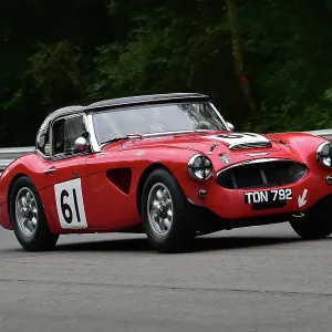 CM33 3770 Doug Muirhead, Austin Healey 100-6 CM33 3770 Doug Muirhead, Austin Healey 100-6