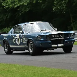 CM33 3830 Larry Tucker, Ford Shelby Mustang GT350R CM33 3830 Larry Tucker, Ford Shelby Mustang GT350R