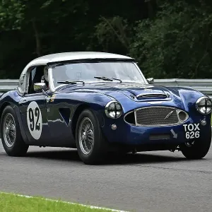 CM33 3887 Guy Parry-Williams, Simon Parry-Williams, Austin Healey 3000 CM33 3887 Guy Parry-Williams, Simon Parry-Williams, Austin Healey 3000