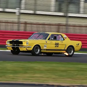 CM33 8766 Andy Priaulx, Alex Taylor, Ford Mustang CM33 8766 Andy Priaulx, Alex Taylor, Ford Mustang