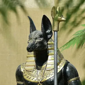CM34 0082 Anubis statue CM34 0082 Anubis statue