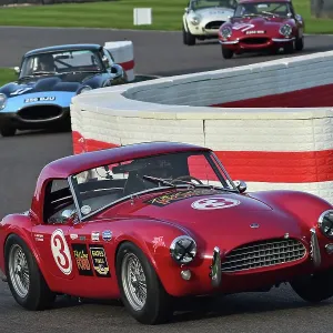 CM34 0870 Tiff Needell, John Spiers, AC Cobra CM34 0870 Tiff Needell, John Spiers, AC Cobra