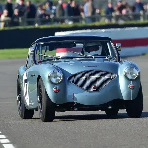 CM34 4851 Vincent Jannsens, Austin Healey 100-4