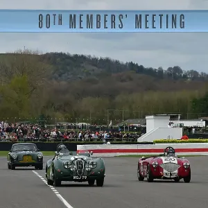 CM34 5606 Hans-Martin Schneeberger, Jaguar XK120, Jonathan Abecassis, Austin Healey 100-4