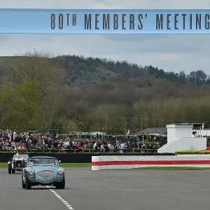 CM34 5616 Vincent Jannsens, Austin Healey 100-4