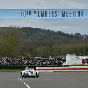 CM34 5618 Neil Collins, Healey Silverstone
