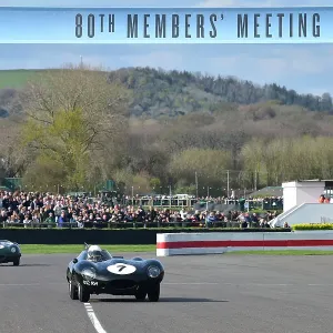 CM34 5662 Gary Pearson, Jaguar D-Type Long Nose CM34 5662 Gary Pearson, Jaguar D-Type Long Nose
