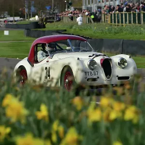 CM34 5710 Christopher Scholey, Jaguar XK120 CM34 5710 Christopher Scholey, Jaguar XK120