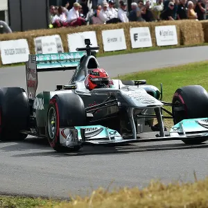 Mercedes MGP W02 Print Mercedes MGP W02 Print