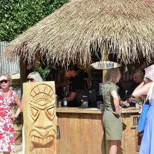 CM35 2296 Tiki Bar