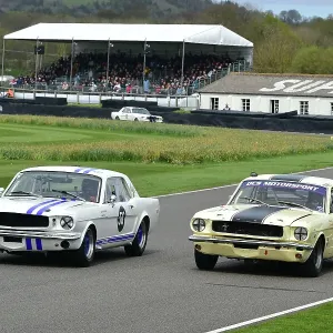 CM35 4297 Andrew Yool, Jamie Chadwick, Ford Mustang, Bas Jansen, Kevin Abbring, Ford Mustang
