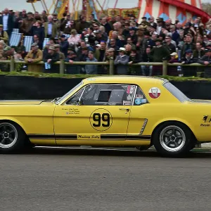 CM35 4343 Andy Priaulx, Alex Taylor, Ford Mustang