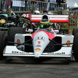 CM36 0634 Bruno Senna, McLaren-Honda MP4-4 CM36 0634 Bruno Senna, McLaren-Honda MP4-4