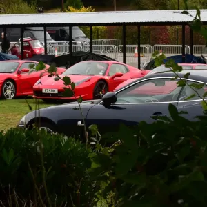 CM5 3378 Ferraris under the trees