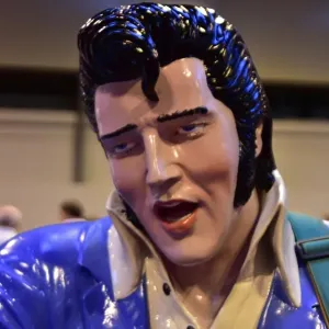 CM5 8133 Elvis CM5 8133 Elvis