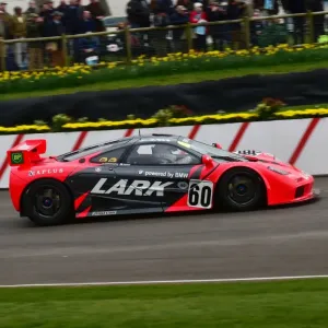 CM6 3462 McLaren F1 GTR CM6 3462 McLaren F1 GTR