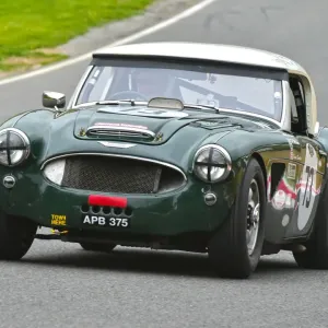 Austin Healey 3000 Print Austin Healey 3000 Print